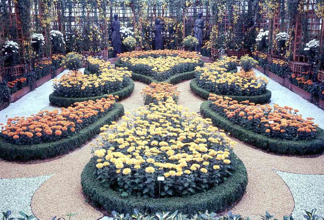 Fall Flower Show 1968