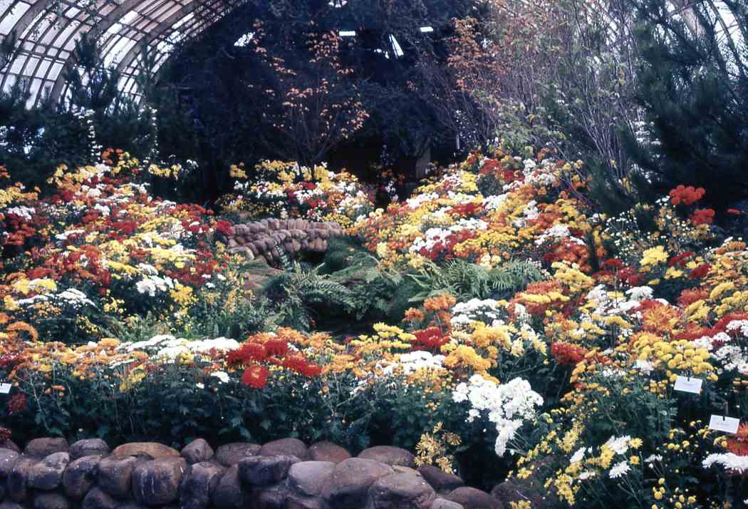 Fall Flower Show 1968