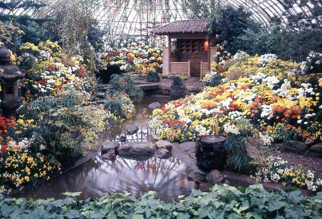 Fall Flower Show 1968