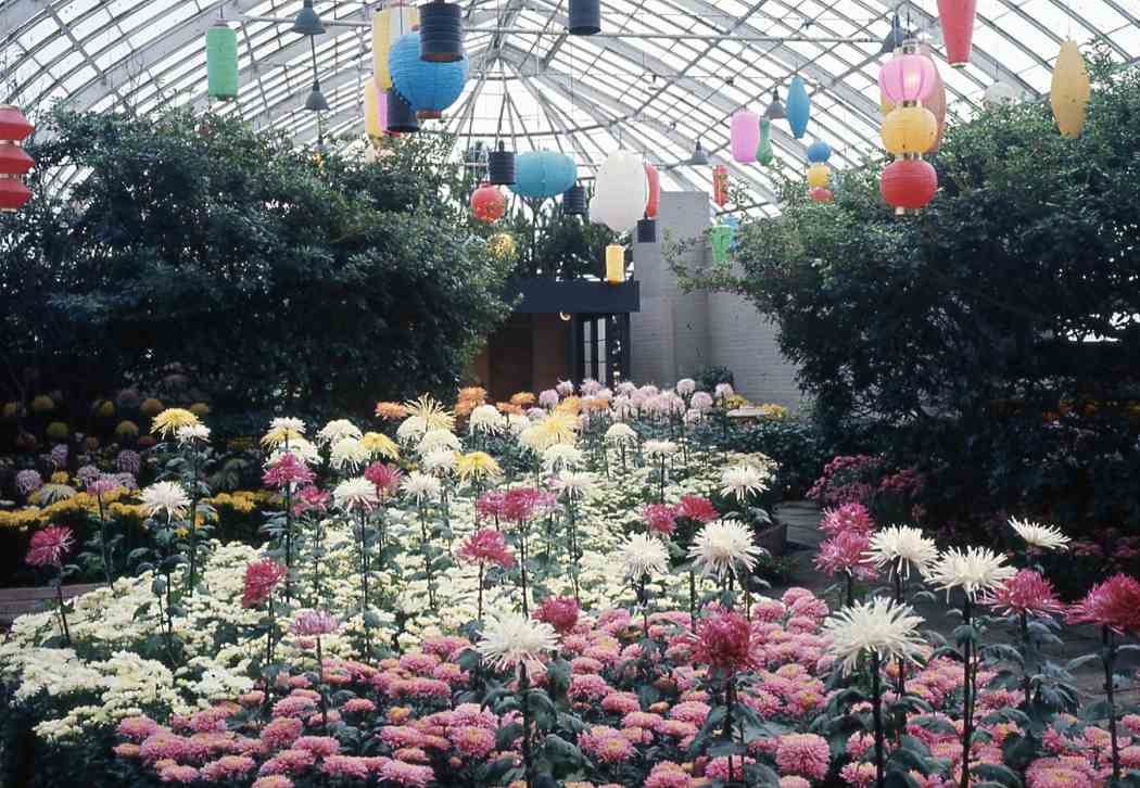 Fall Flower Show 1968