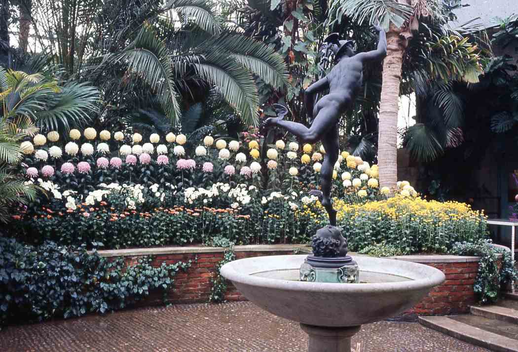 Fall Flower Show 1968