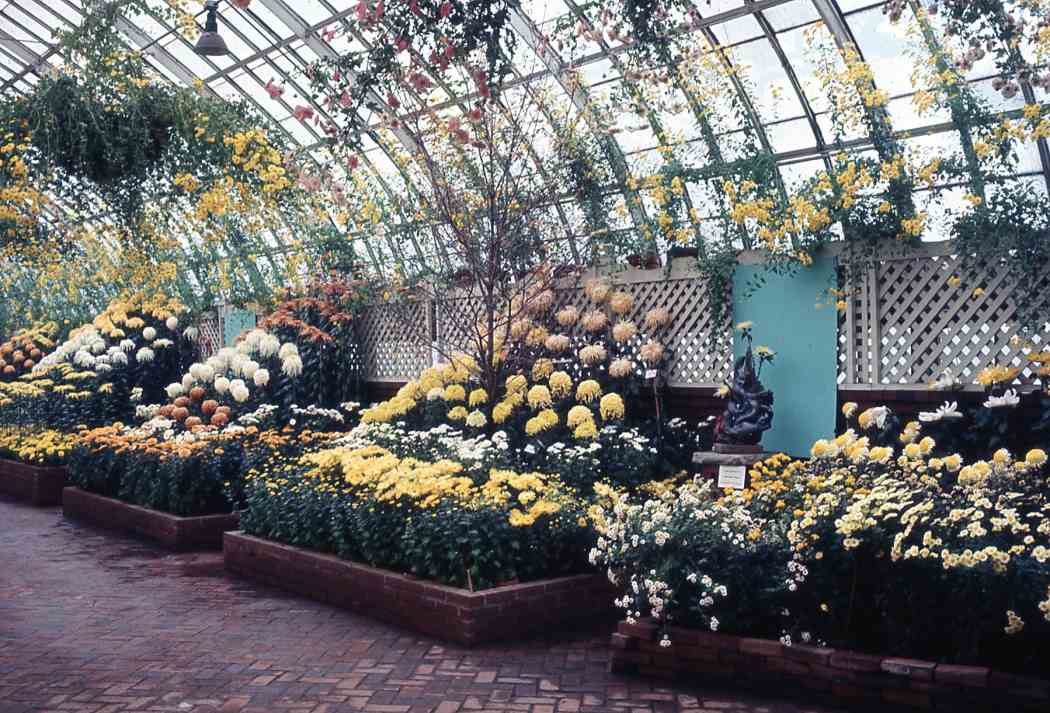 Fall Flower Show 1968