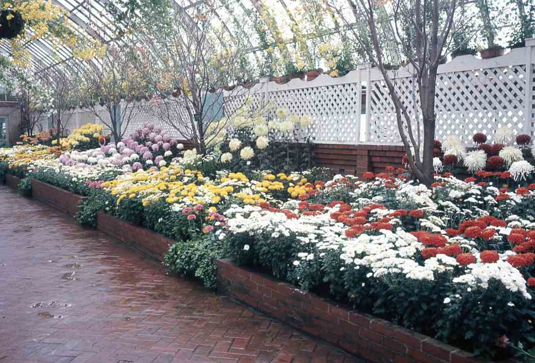 Fall Flower Show 1968