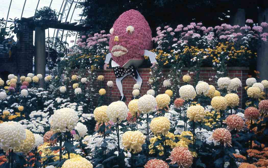 Fall Flower Show 1968