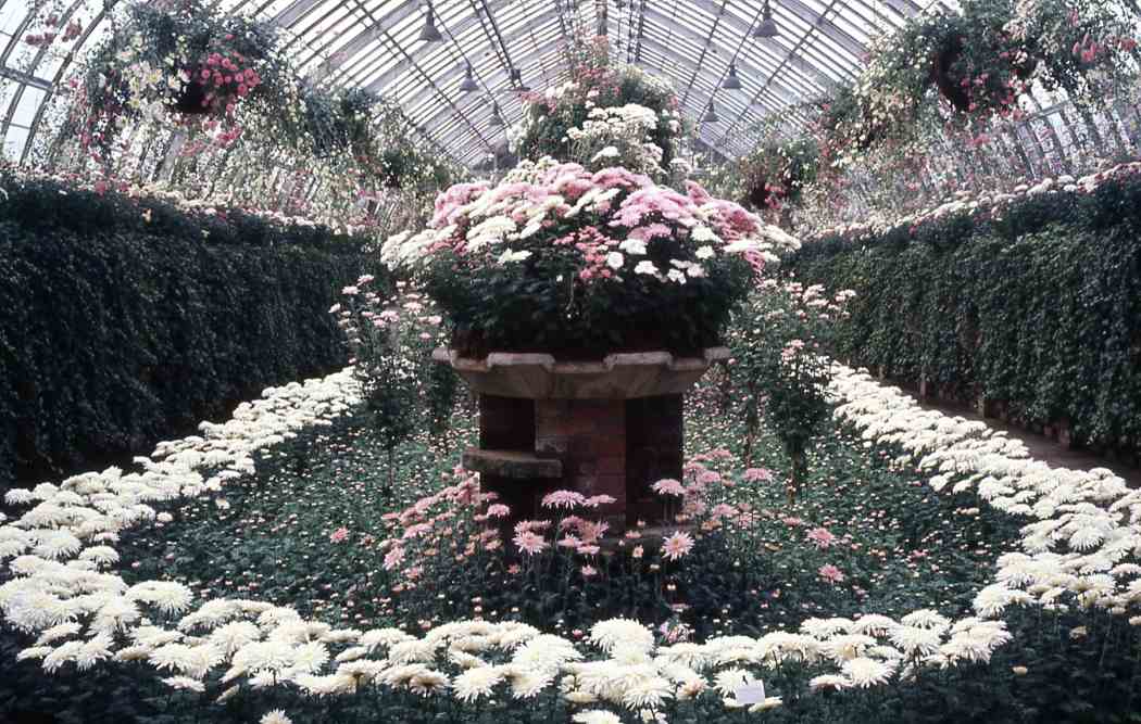 Fall Flower Show 1968