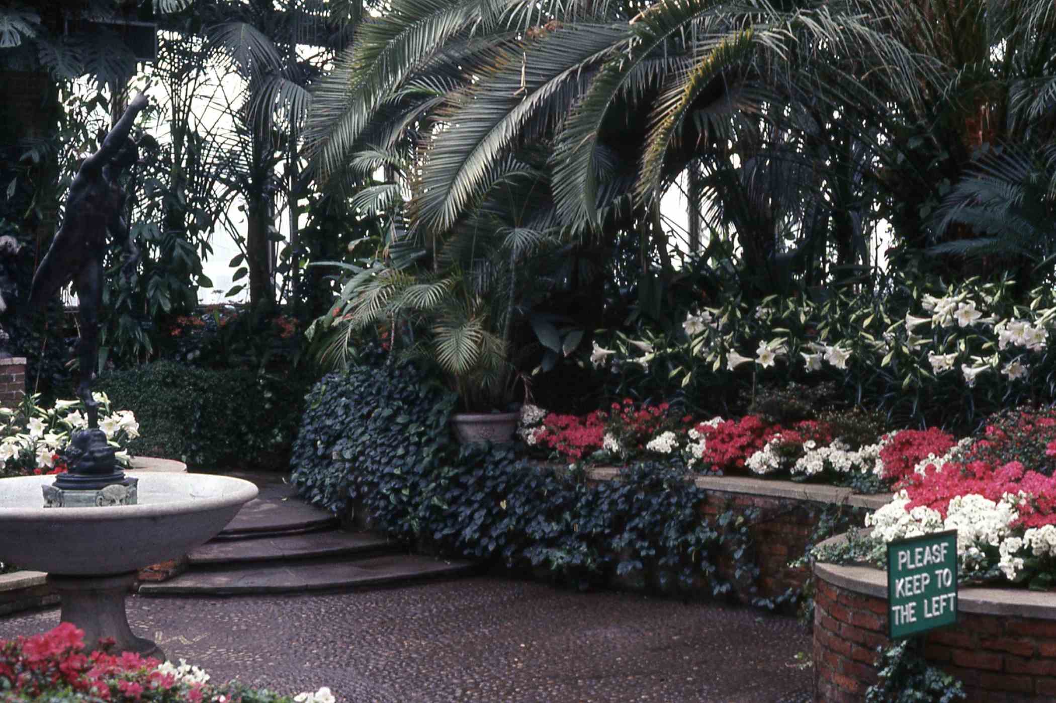 Spring Flower Show 1968 | Phipps Conservatory and Botanical