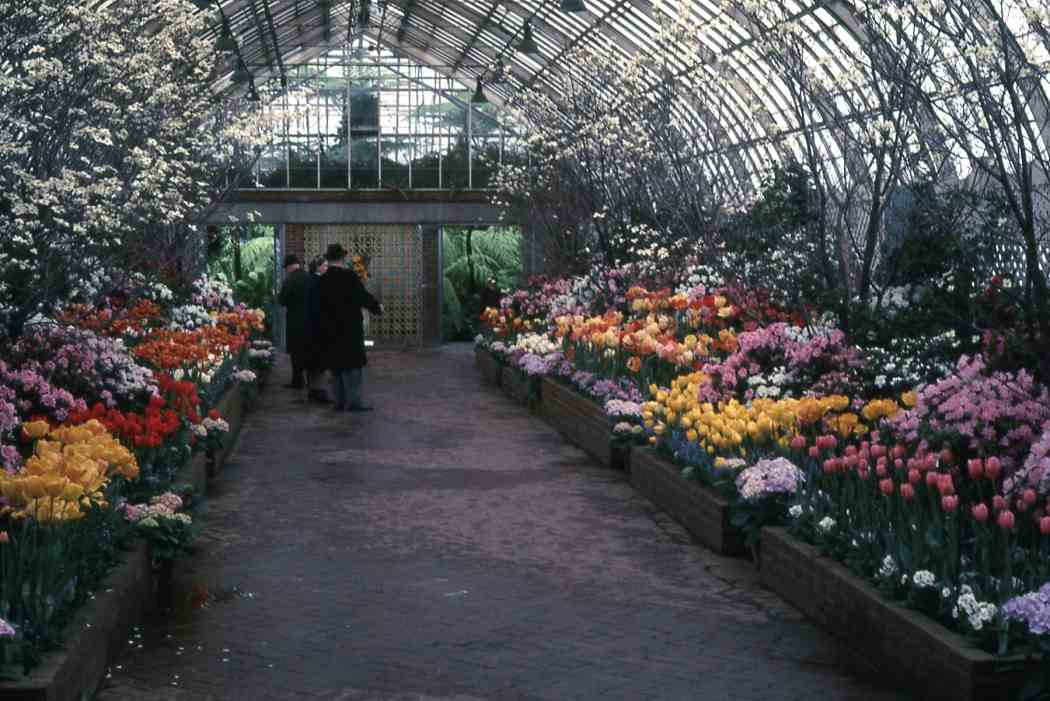 Spring Flower Show 1968
