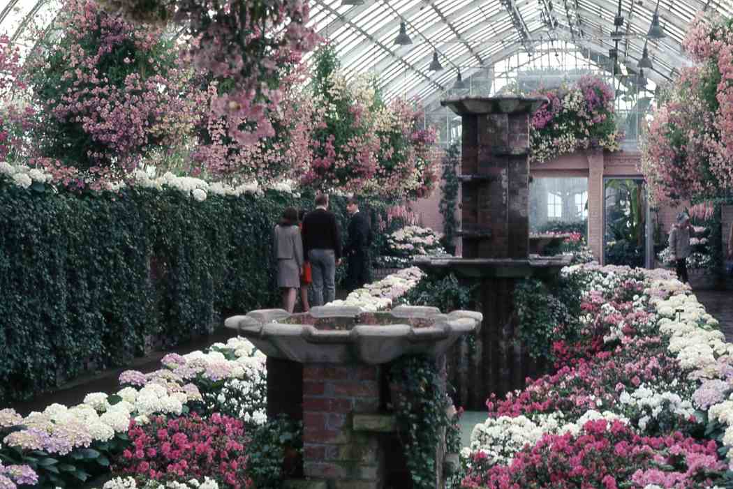 Spring Flower Show 1968