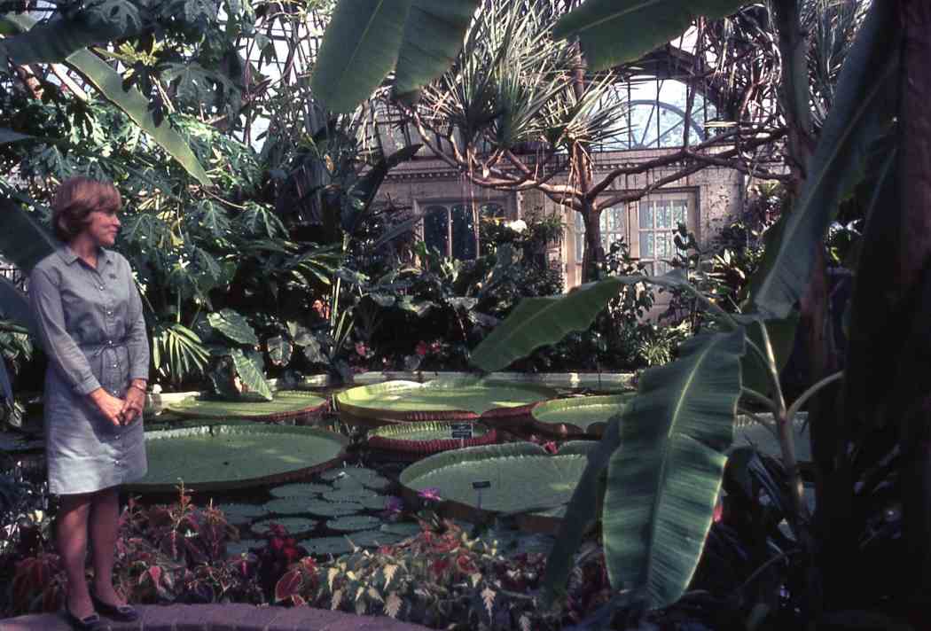 Spring Flower Show 1968