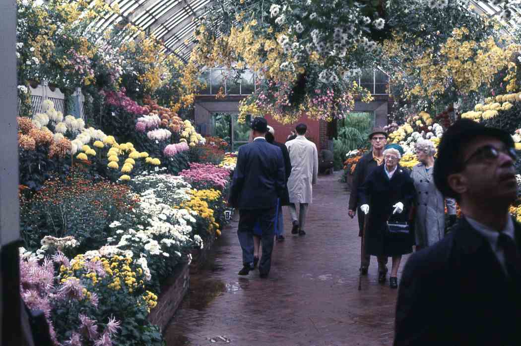 Fall Flower Show 1969