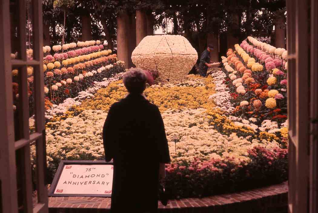 Fall Flower Show 1969