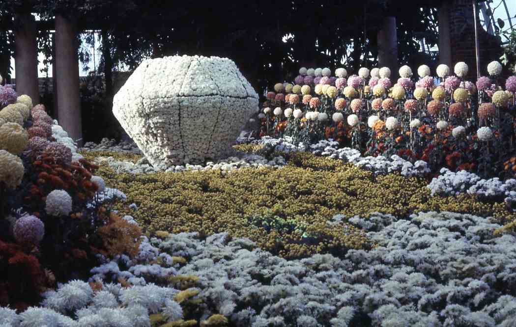 Fall Flower Show 1969