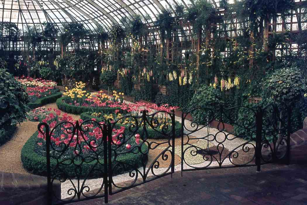 Spring Flower Show 1969