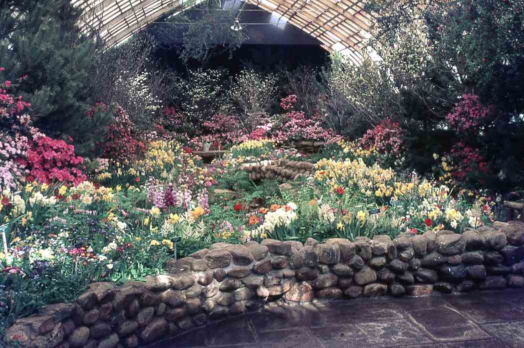 Spring Flower Show 1969