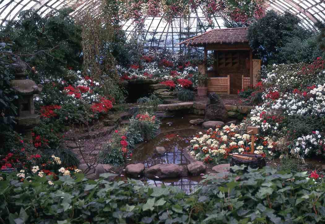 Spring Flower Show 1969