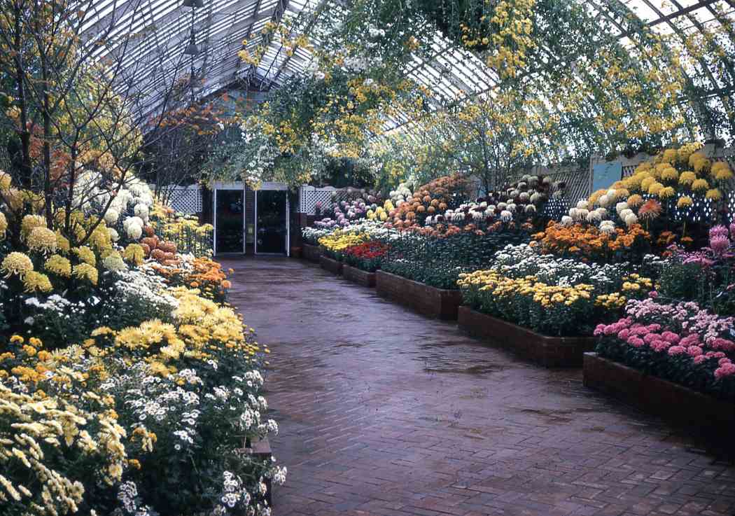 Fall Flower Show 1969