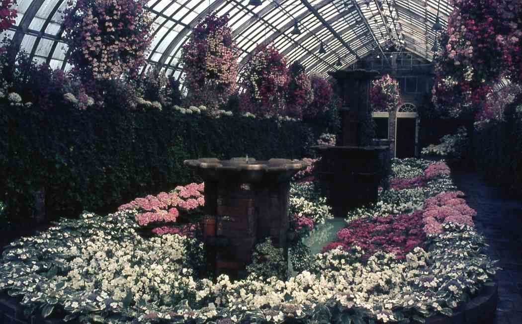 Spring Flower Show 1969