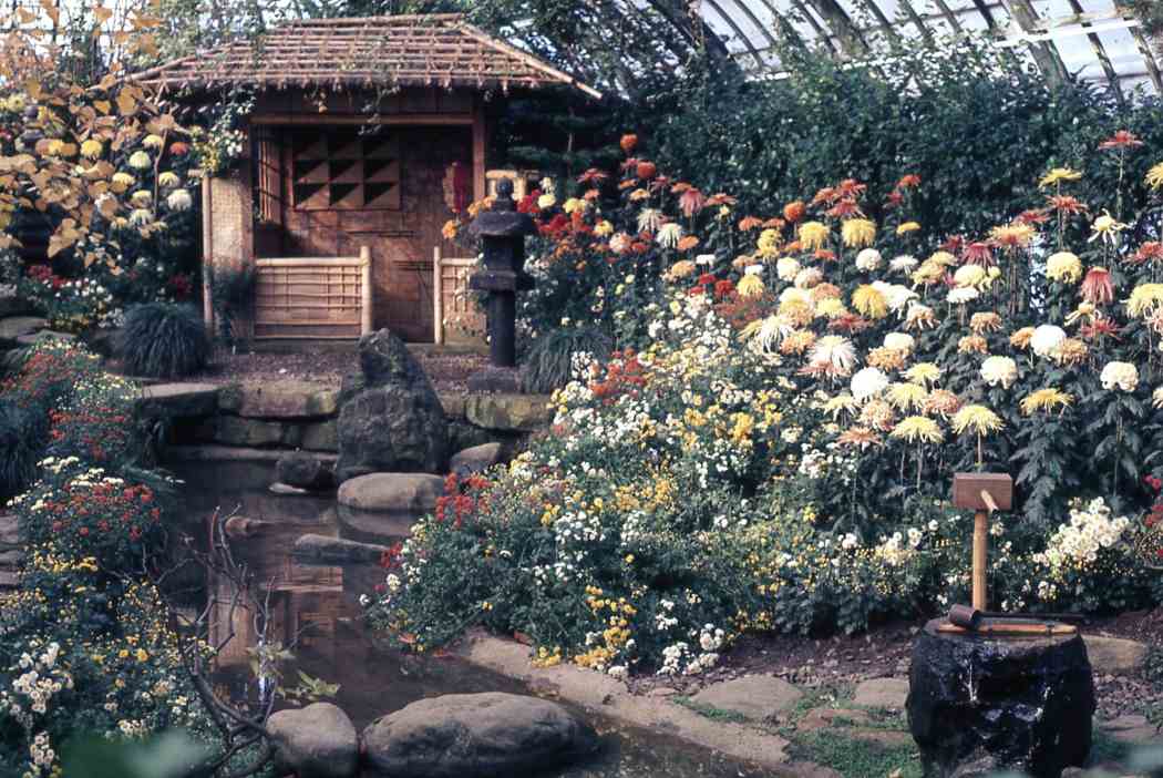 Fall Flower Show 1970