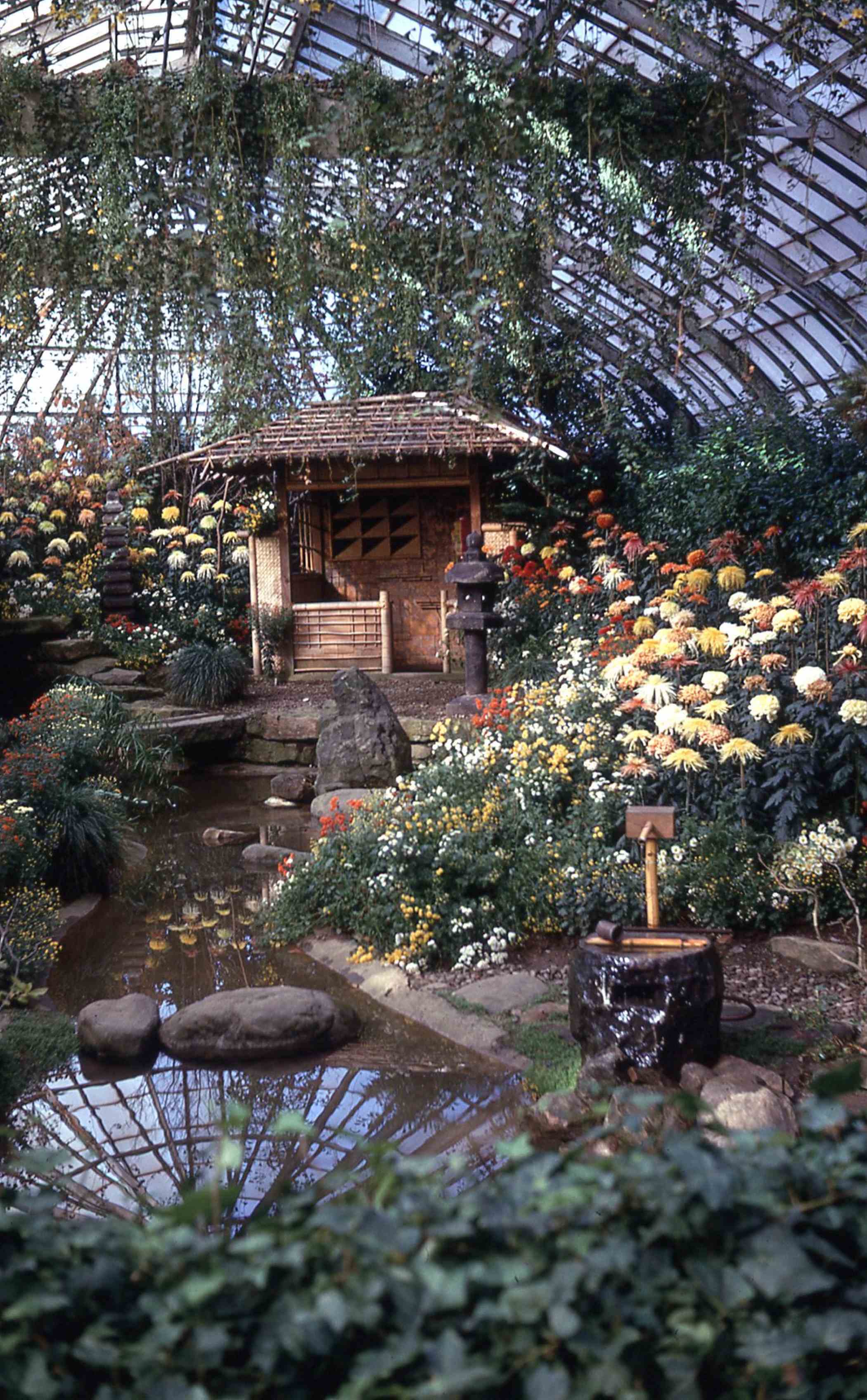 house on the hill ロンパースFlower Foxhill Garden | Design Inspiration | Mount Vernon Floral Shop