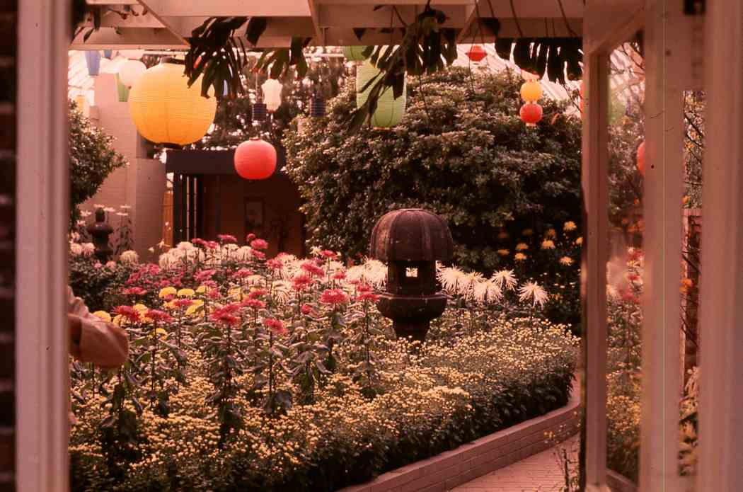 Fall Flower Show 1970