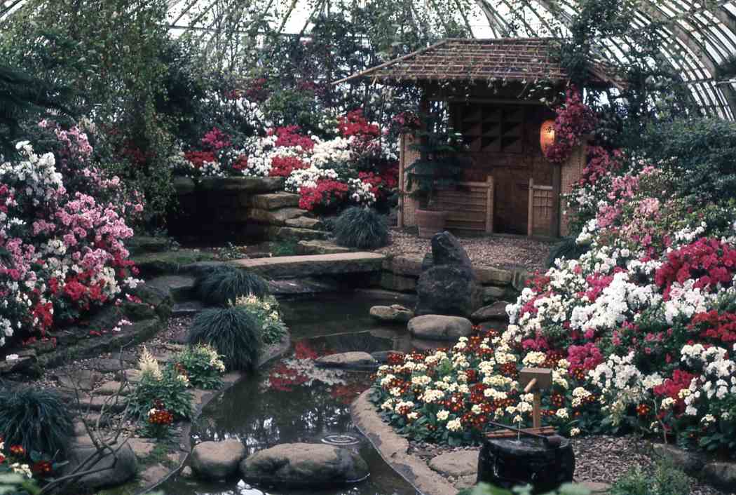 Spring Flower Show 1970