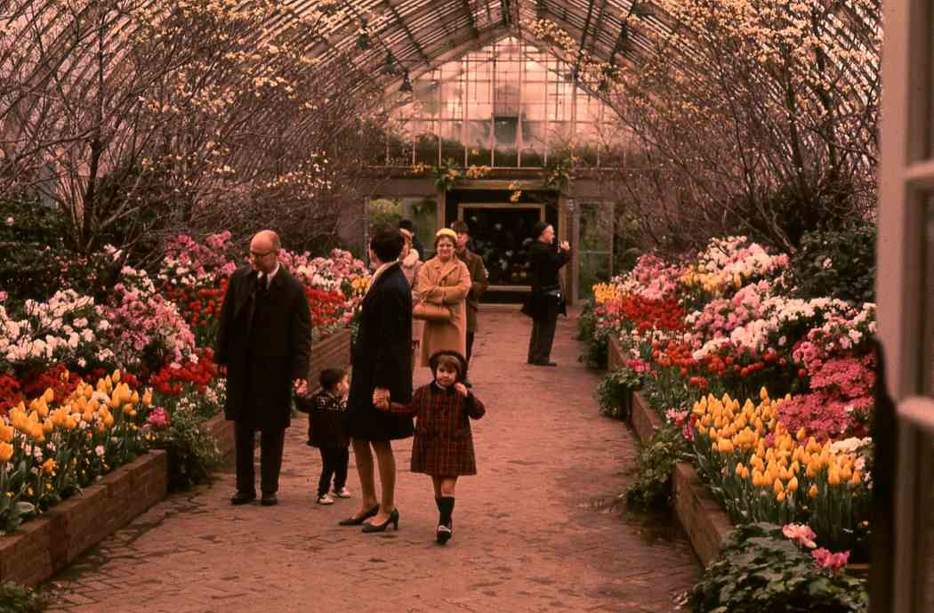 Spring Flower Show 1970