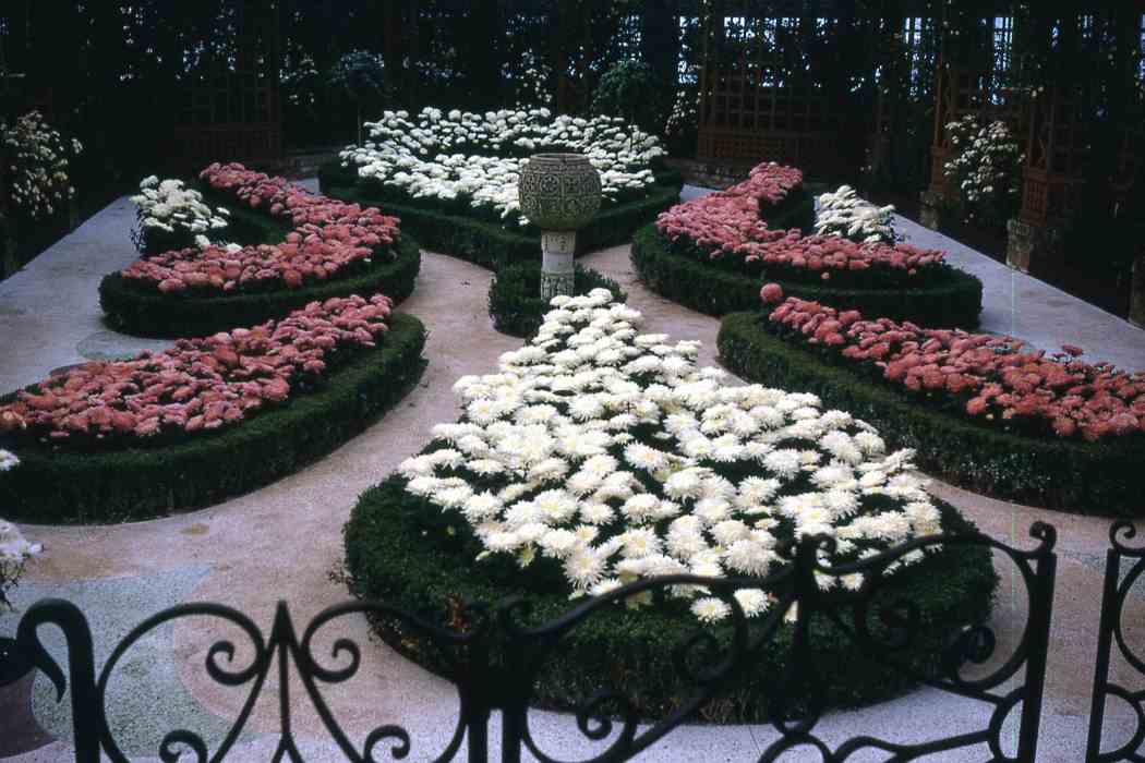 Fall Flower Show 1971