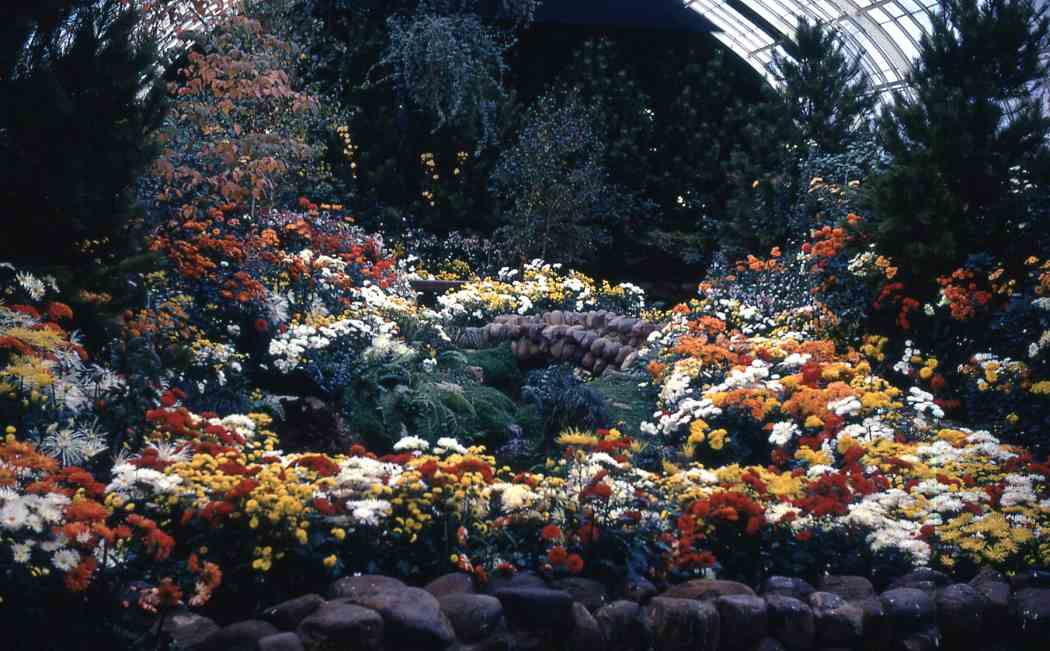 Fall Flower Show 1971