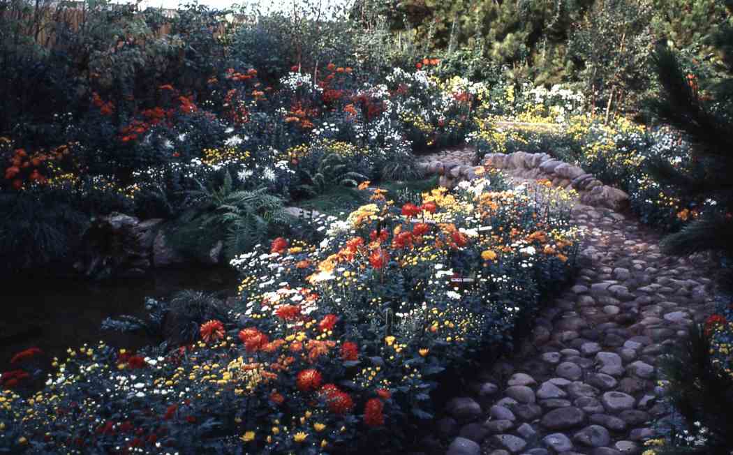 Fall Flower Show 1971