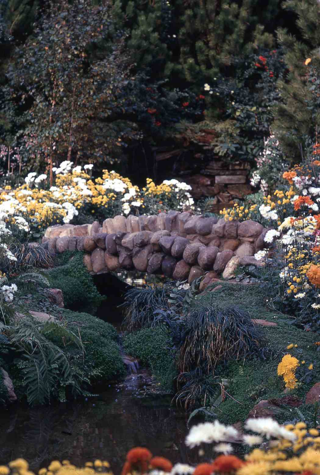 Fall Flower Show 1971