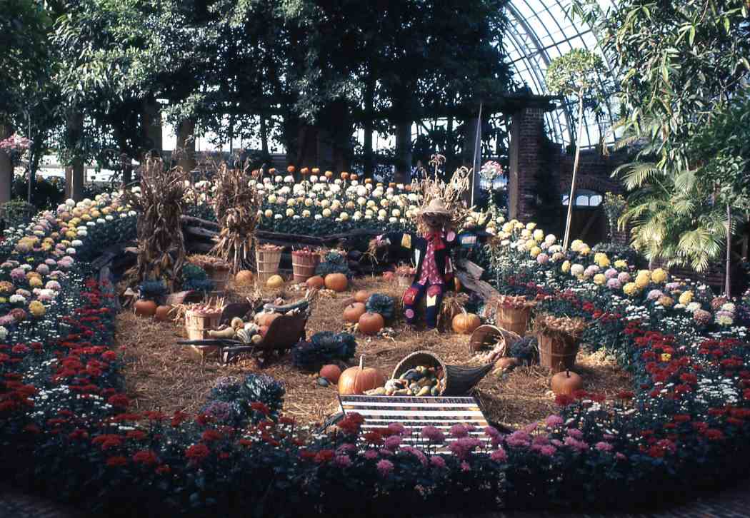 Fall Flower Show 1971