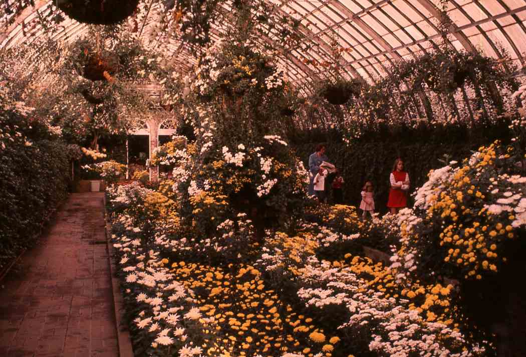 Fall Flower Show 1971