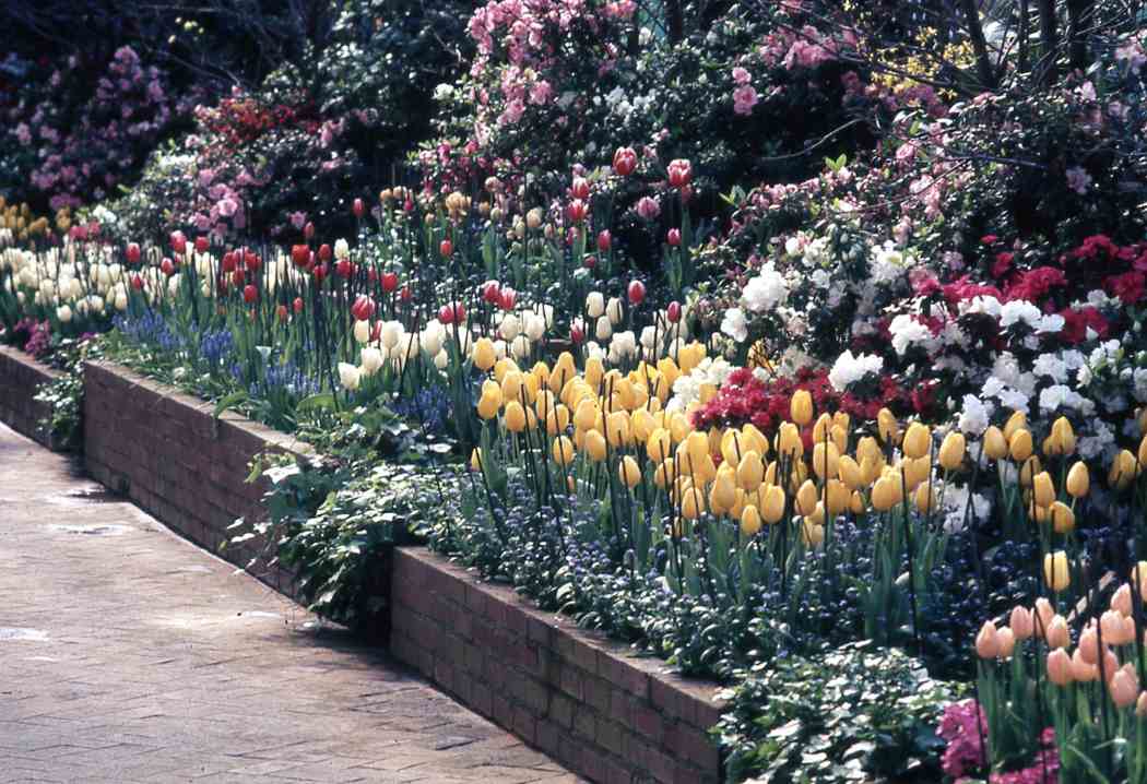 Spring Flower Show 1971