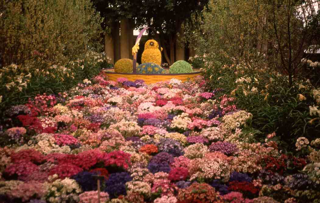 Spring Flower Show 1971