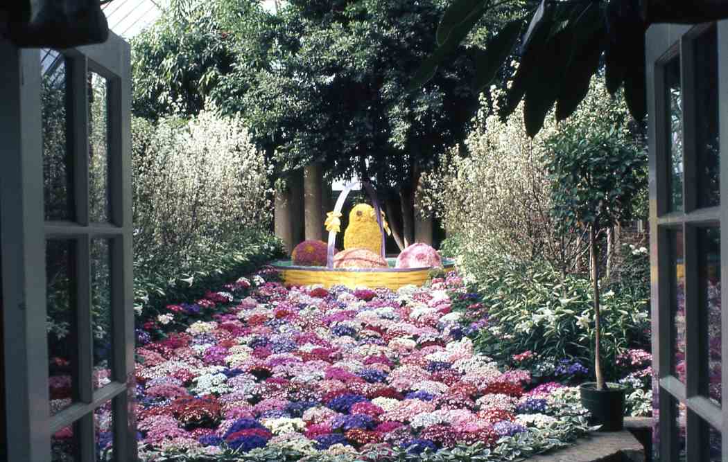 Spring Flower Show 1971