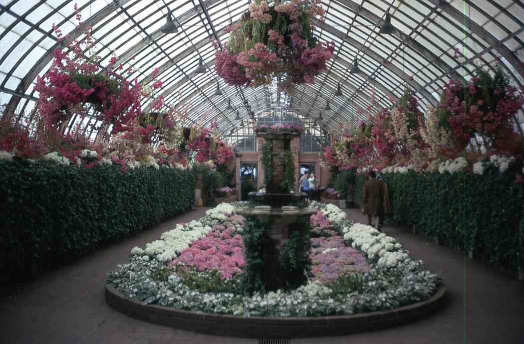 Spring Flower Show 1971