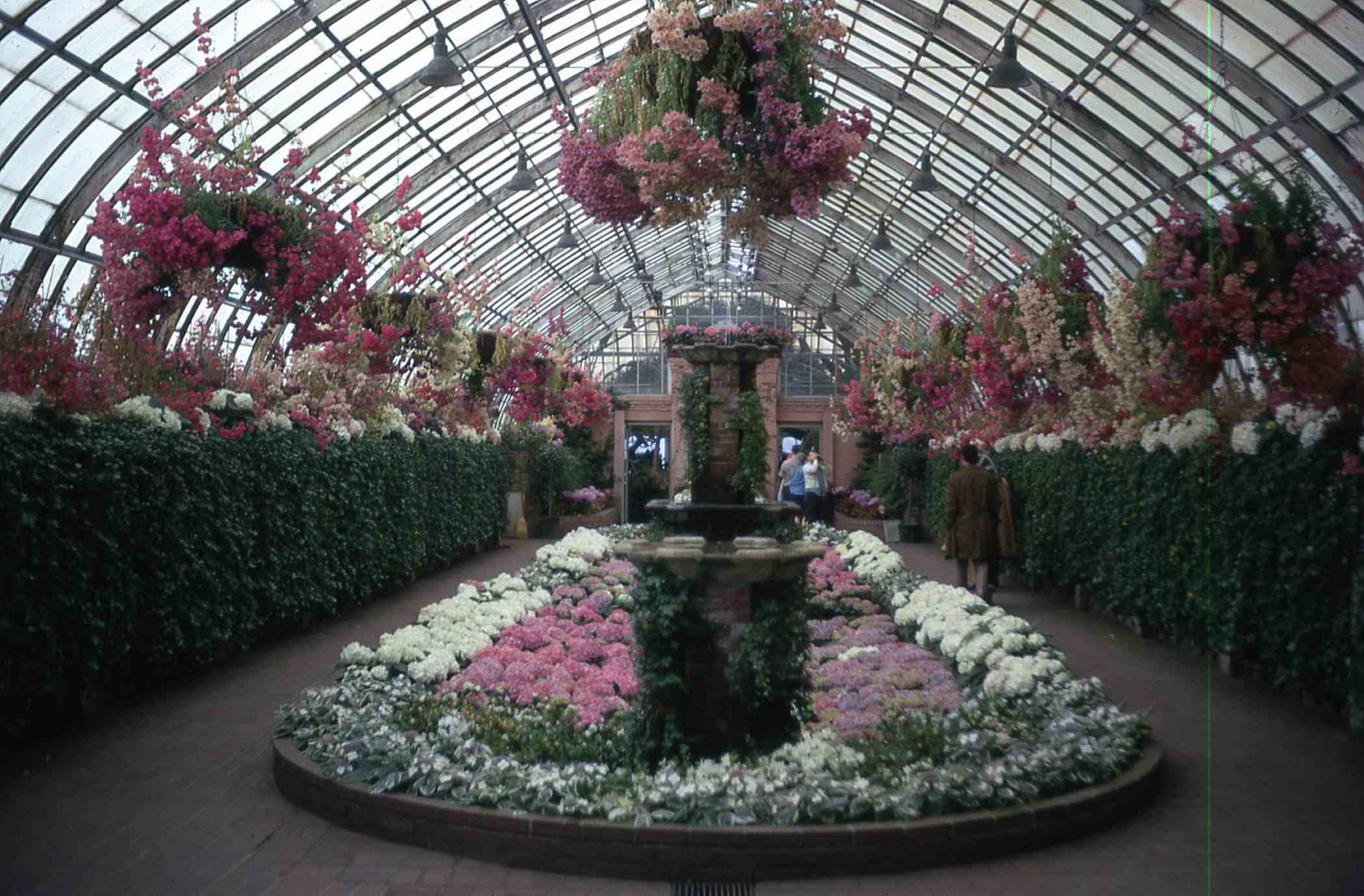 Spring Flower Show 1971 | Phipps Conservatory and Botanical Gardens