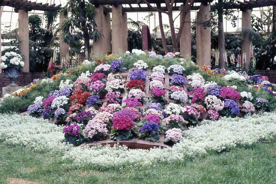 Spring Flower Show 1973