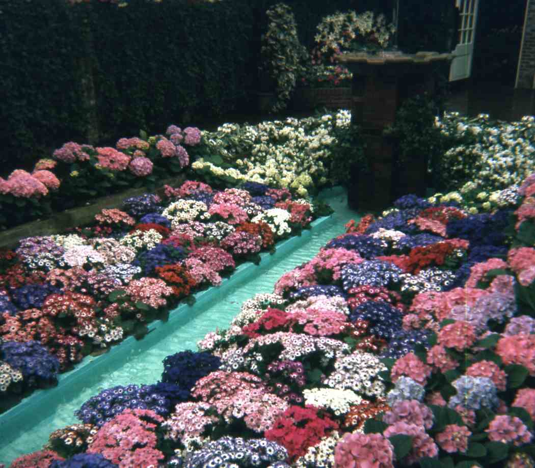 Spring Flower Show 1973