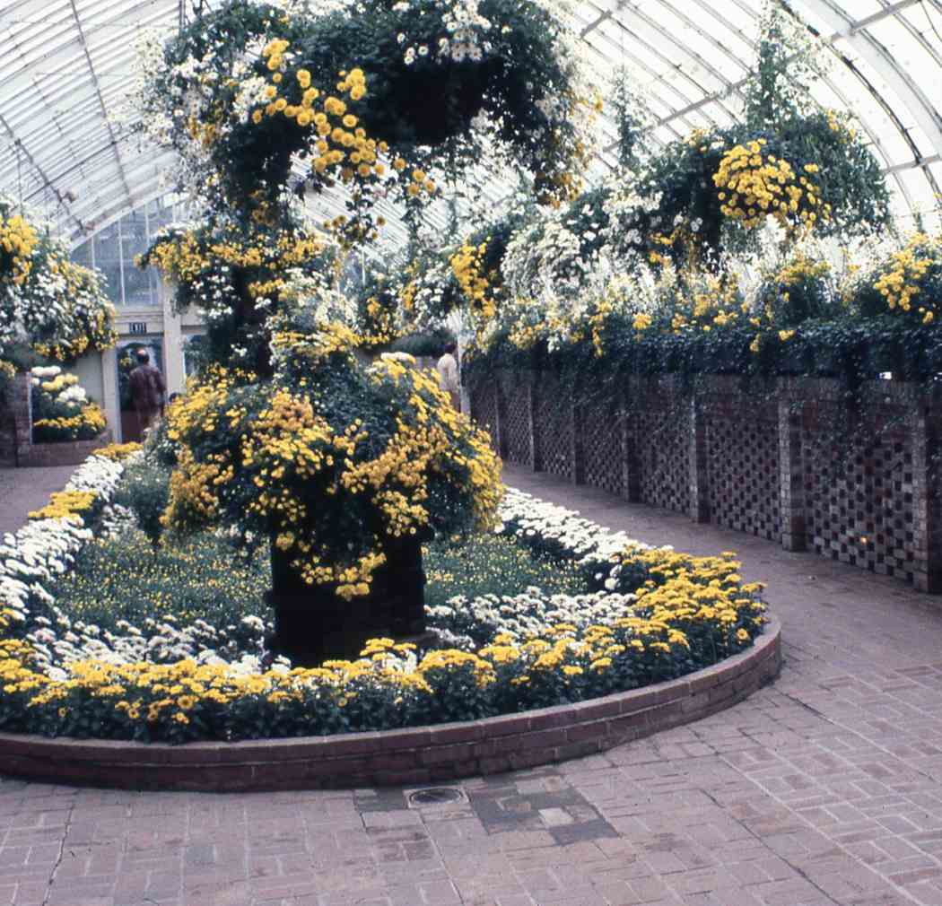 Fall Flower Show 1979: Greatest Show Under the Big Glass Top