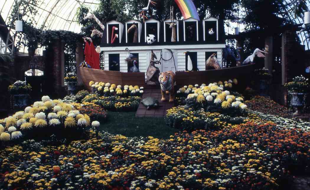 Fall Flower Show 1981