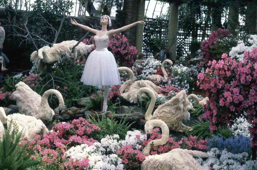Spring Flower Show 1981