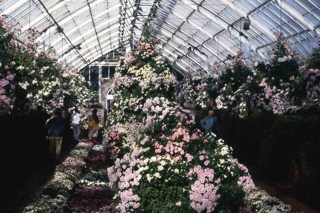 Spring Flower Show 1981