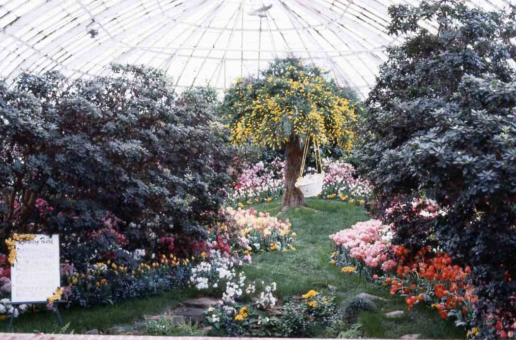 Spring Flower Show 1982: Birth of Spring