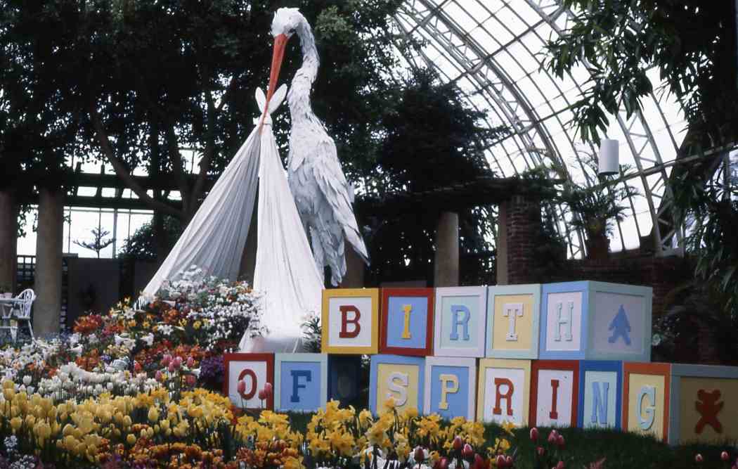 Spring Flower Show 1982: Birth of Spring