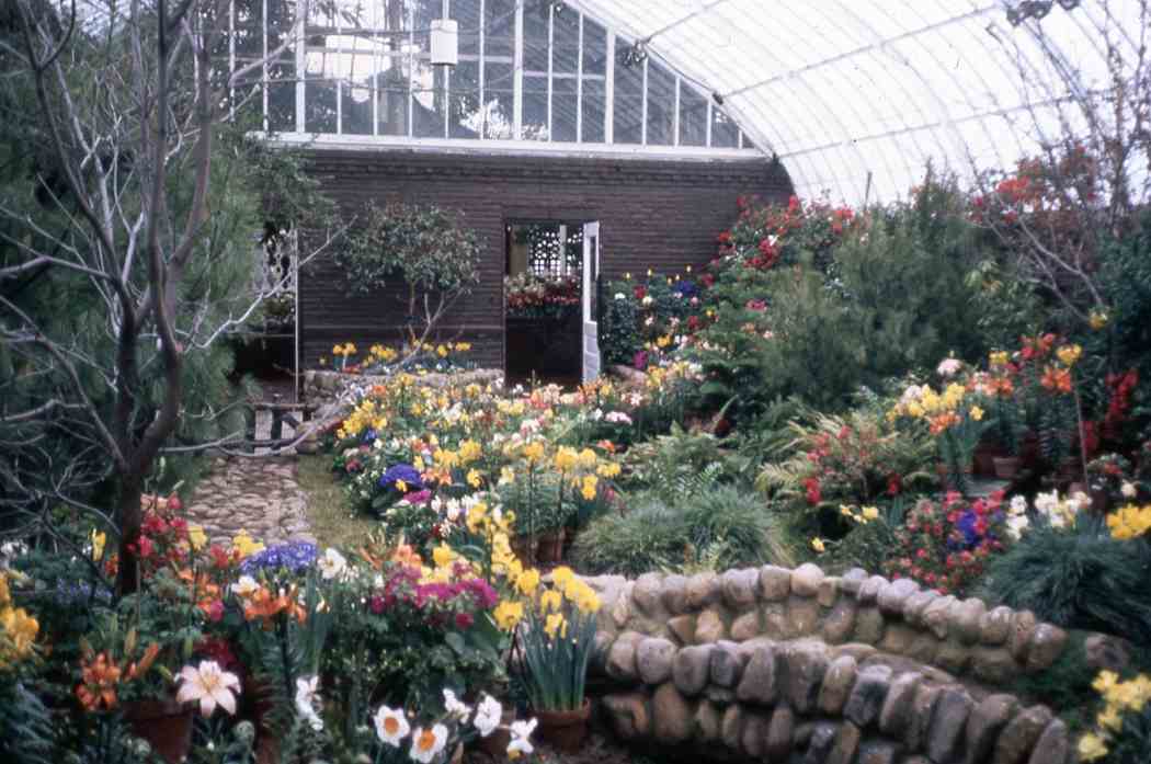 Spring Flower Show 1983: A Victorian Spring