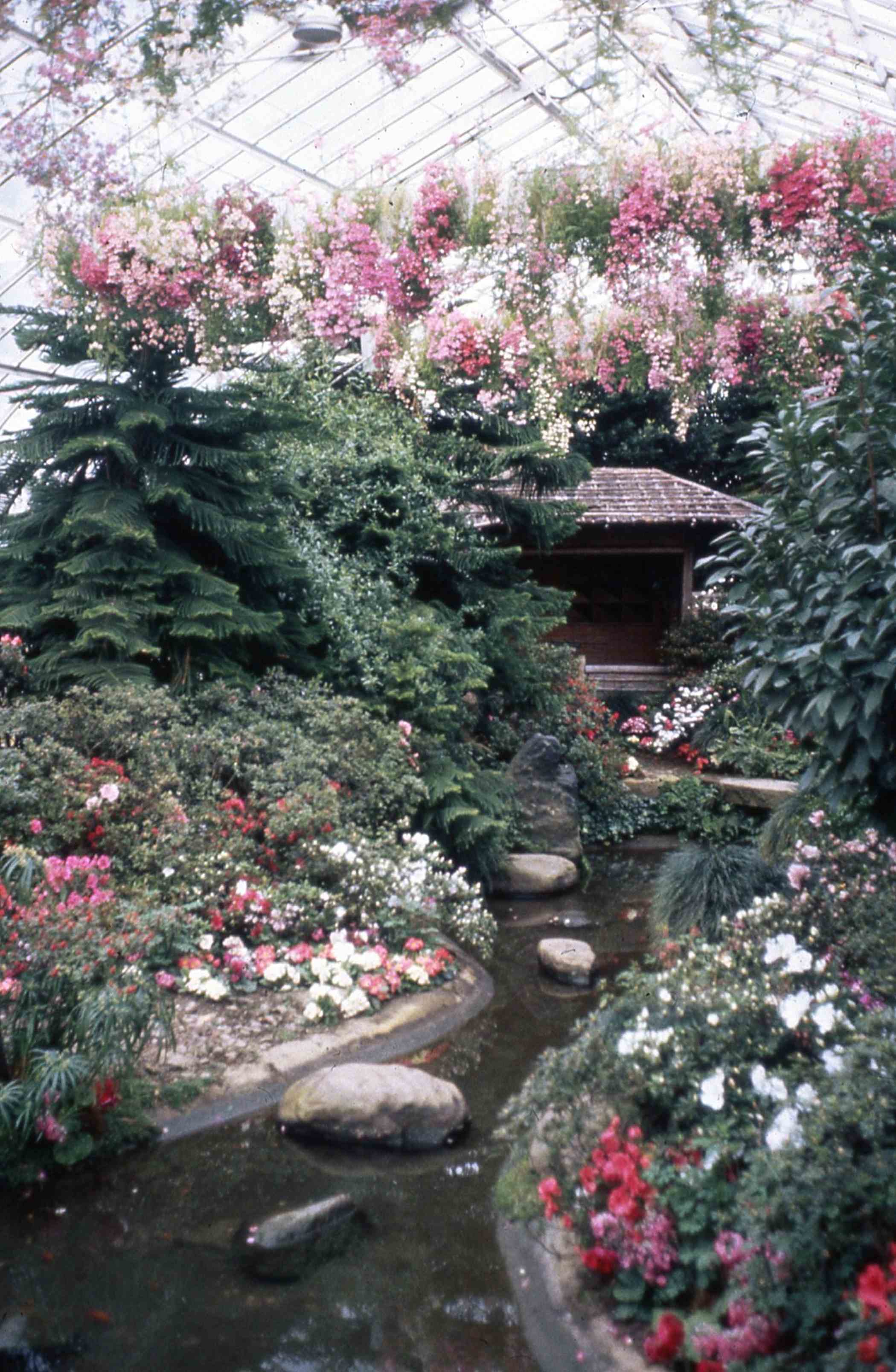 Spring Flower Show 1983: A Victorian Spring | Phipps Conservatory