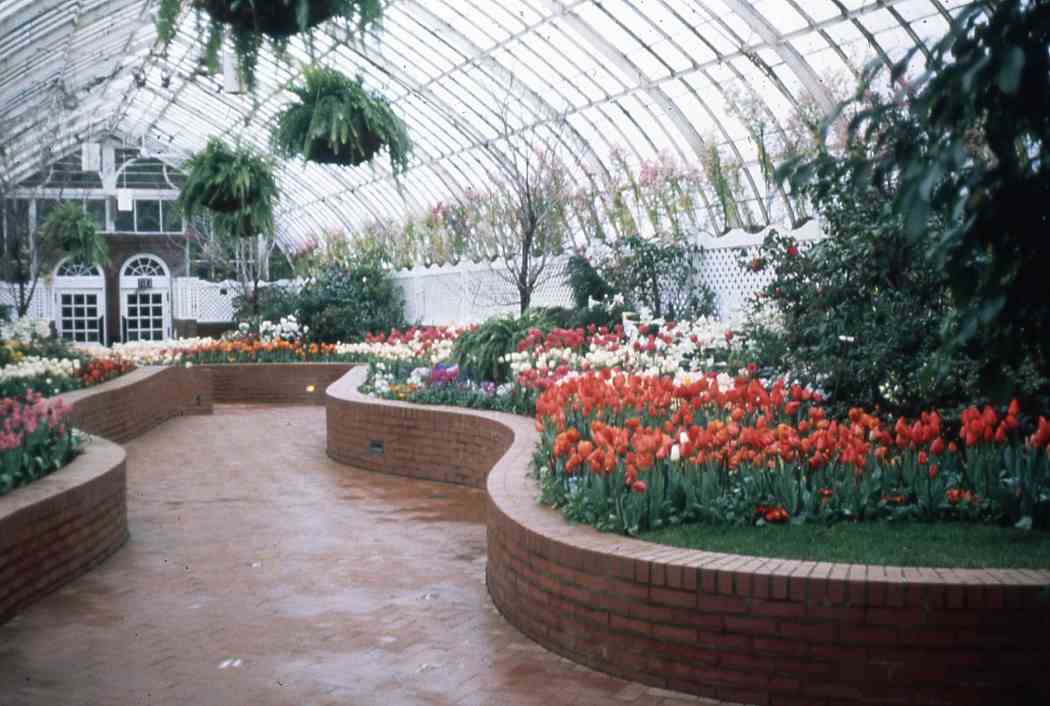 Spring Flower Show 1983: A Victorian Spring