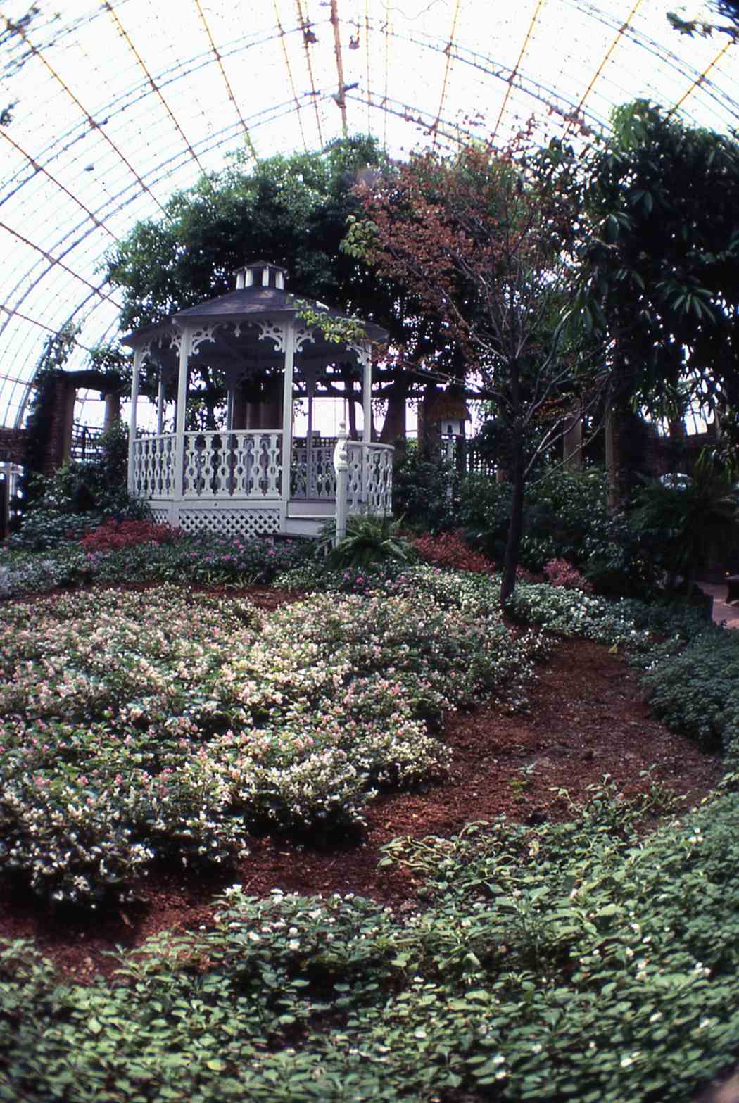 Spring Flower Show 1983: A Victorian Spring