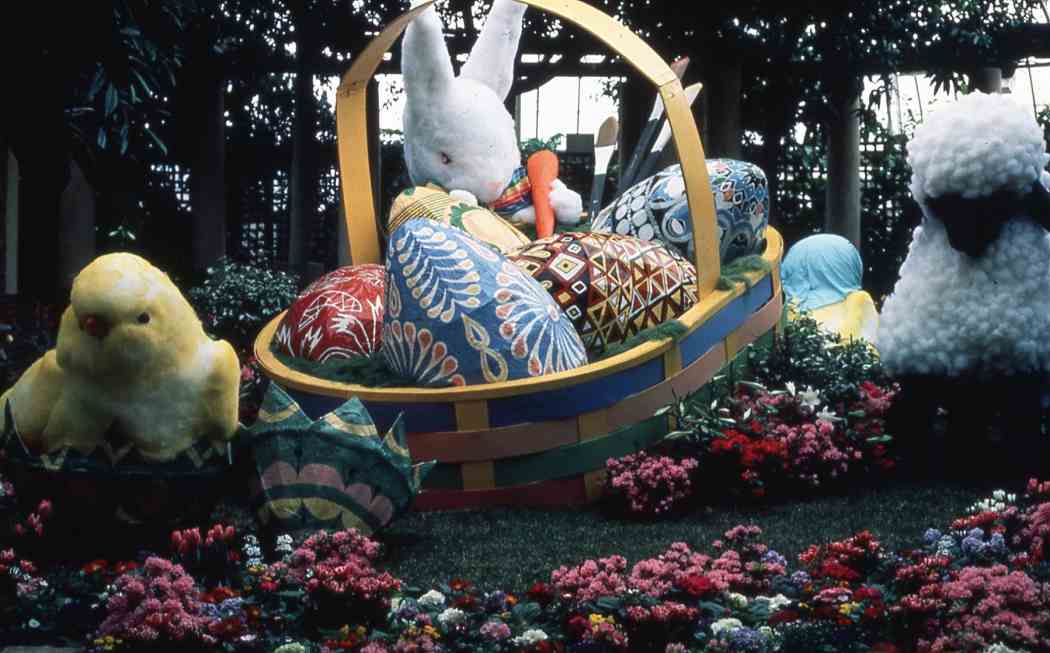 Spring Flower Show 1984